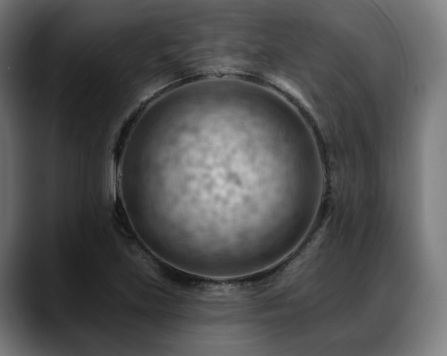 X0000088651219200705251455