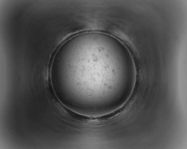 X0000088651220200705251455