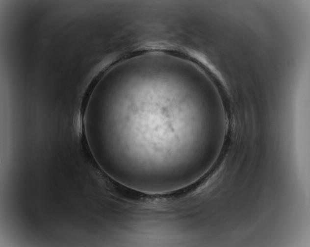 X0000088651221200705251455
