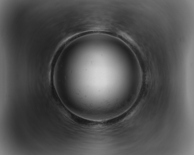 X0000088651222200705251455