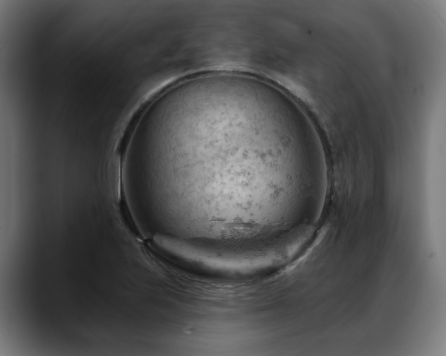 X0000088651223200705251455