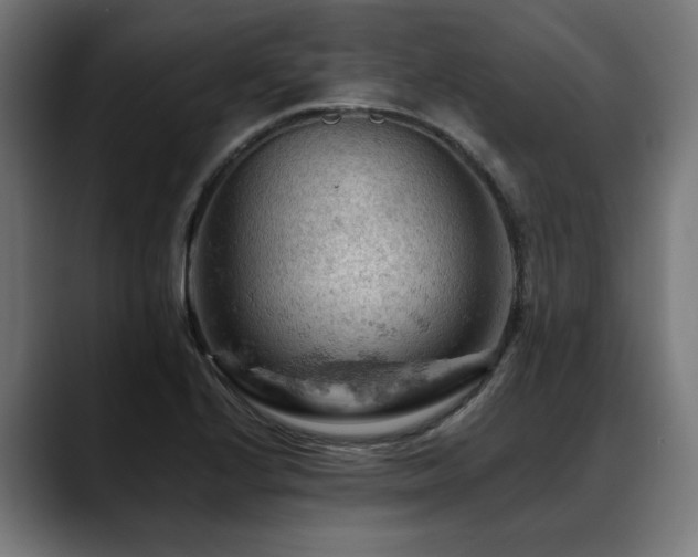 X0000088651224200705251455