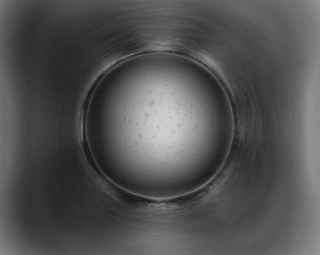 X0000088651227200705251455