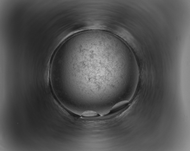X0000088651228200705251455