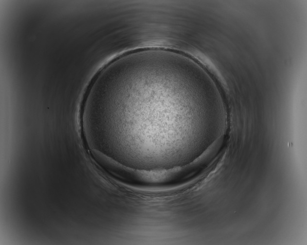 X0000088651230200705251455