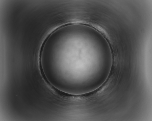 X0000088651231200705251455