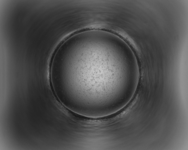 X0000088651232200705251455