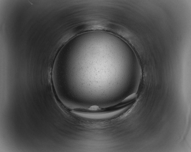 X0000088651233200705251455