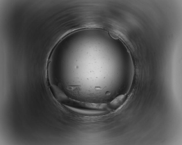 X0000088651236200705251455