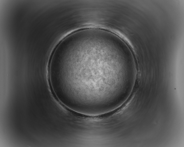 X0000088651239200705251455