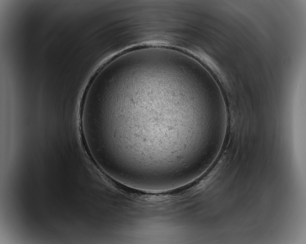 X0000088651240200705251455