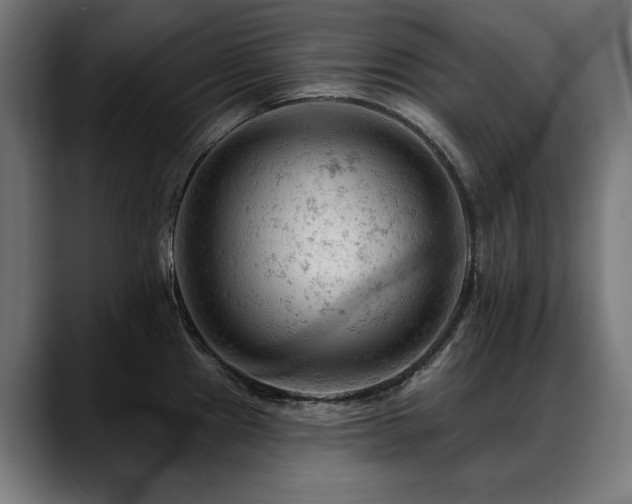 X0000088651241200705251455