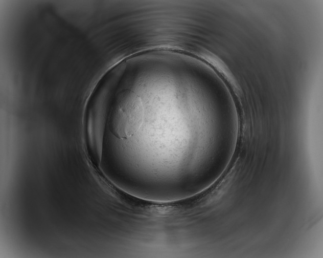 X0000088651242200705251455