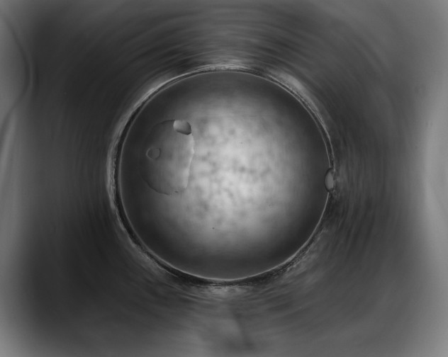 X0000088651243200705251455
