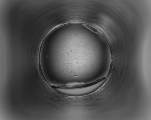 X0000088651244200705251455