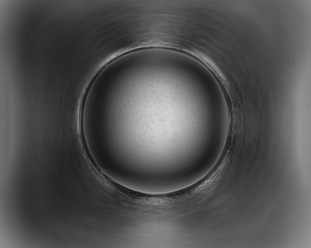 X0000088651246200705251455