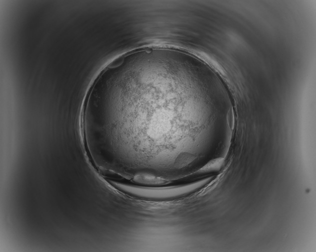 X0000088651247200705251455