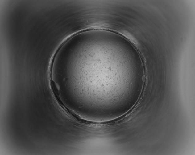 X0000088651248200705251455