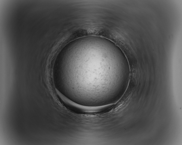 X0000088651249200705251454