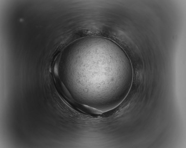 X0000088651250200705251454