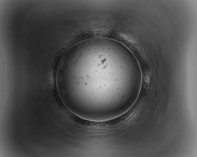 X0000088651252200705251454