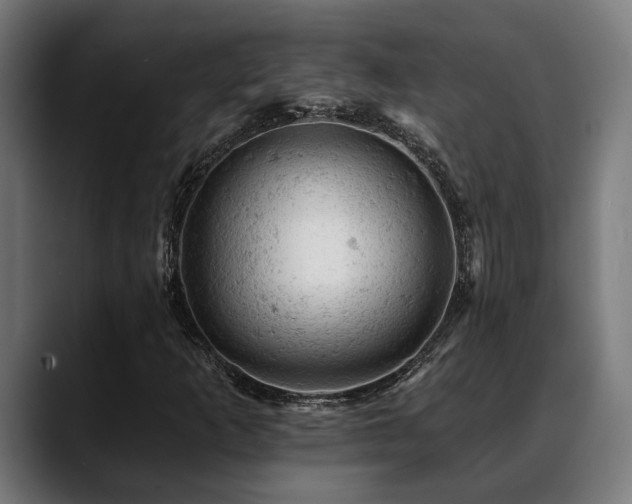 X0000088651253200705251454