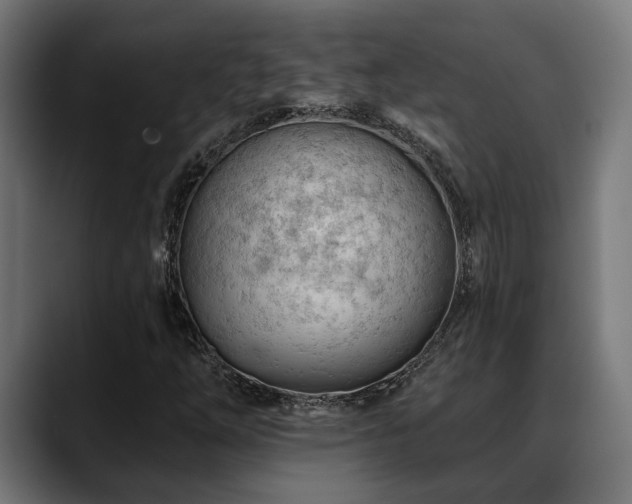 X0000088651254200705251454