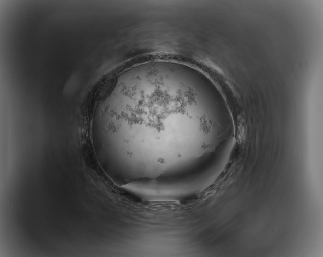 X0000088651255200705251454