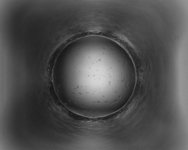 X0000088651256200705251454