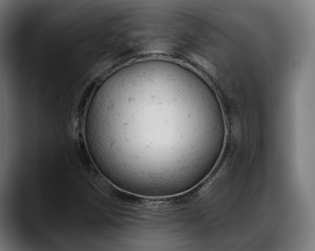 X0000088651258200705251454