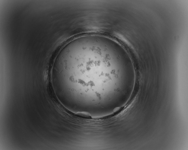 X0000088651259200705251454