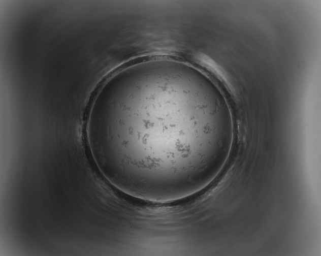 X0000088651260200705251454