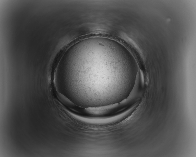 X0000088651261200705251454