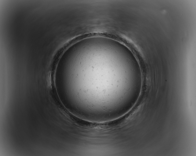 X0000088651262200705251454