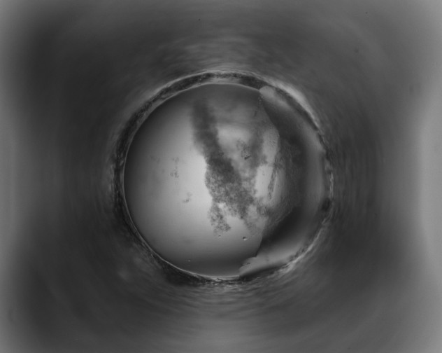 X0000088651263200705251454