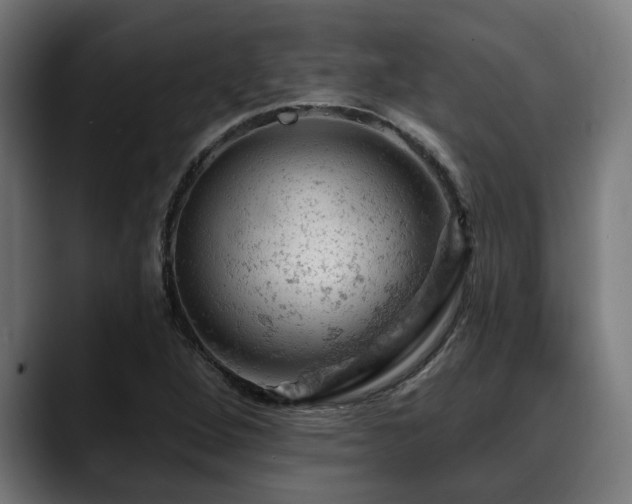 X0000088651264200705251454