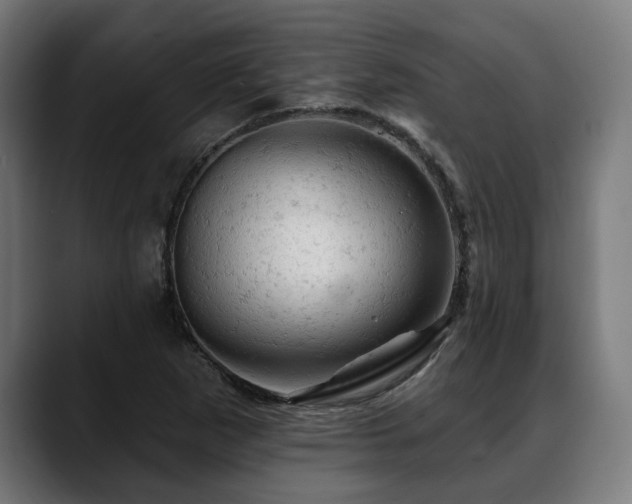 X0000088651265200705251454