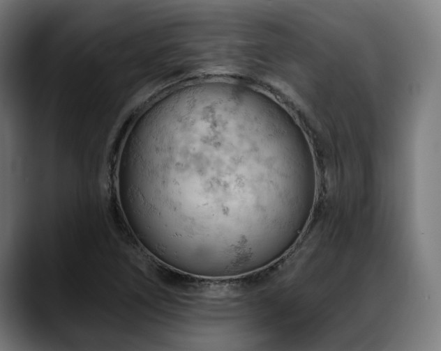 X0000088651266200705251454