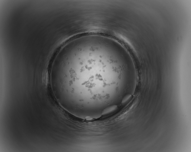 X0000088651267200705251454