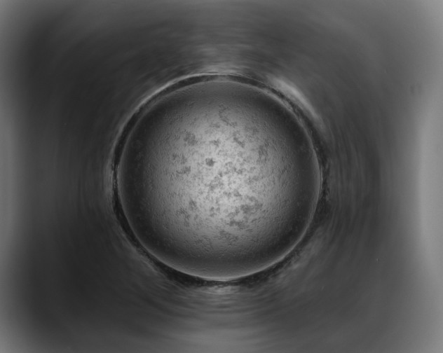 X0000088651268200705251454