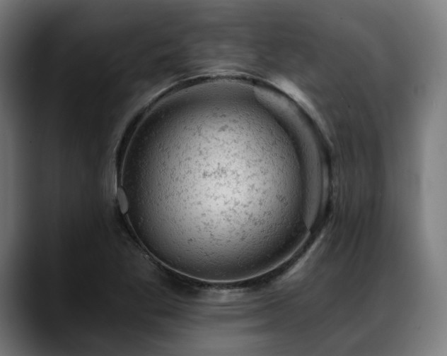 X0000088651269200705251454