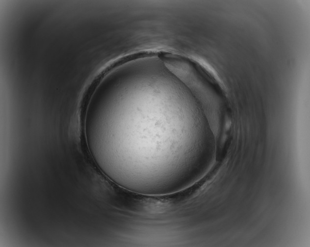 X0000088651270200705251454