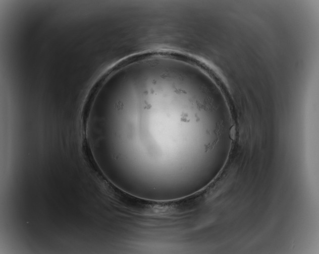 X0000088651271200705251454