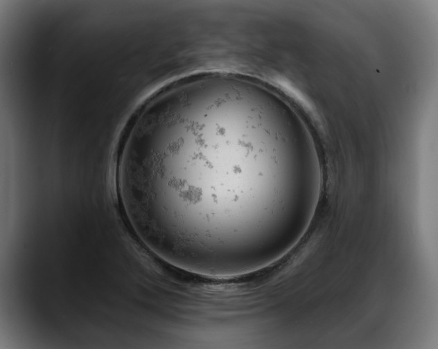 X0000088651272200705251454