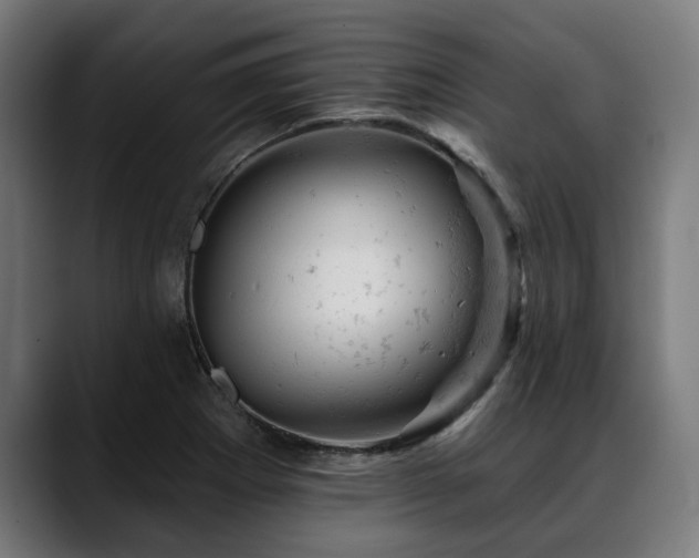 X0000088651273200705251454