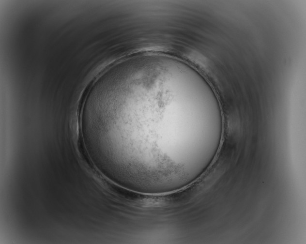 X0000088651274200705251454
