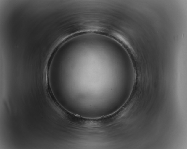 X0000088651275200705251454