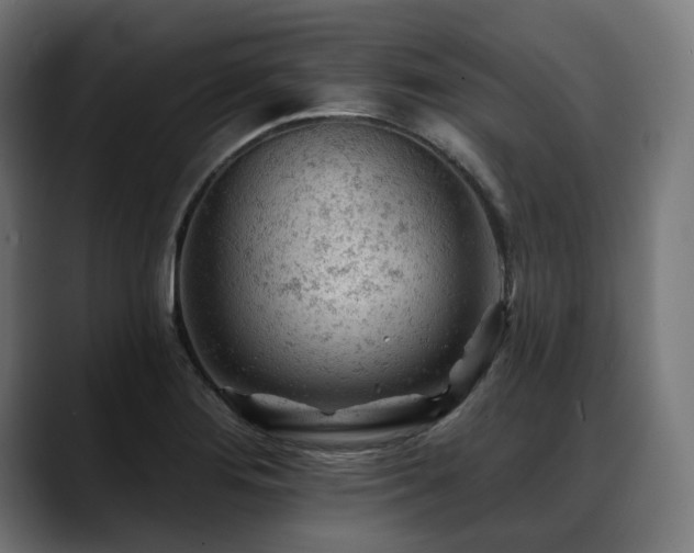 X0000088651276200705251454
