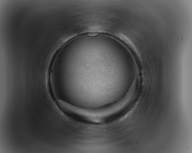 X0000088651277200705251454