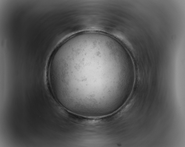 X0000088651278200705251454